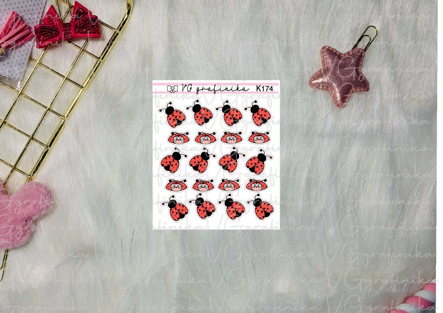 K174 - ladybug