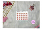 J-172teddy icon YouTube